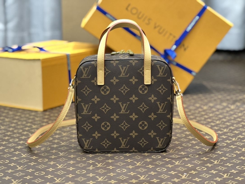 LV Cosmetic Bags